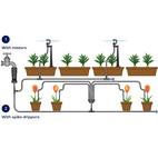 Droppbevattning för växthus