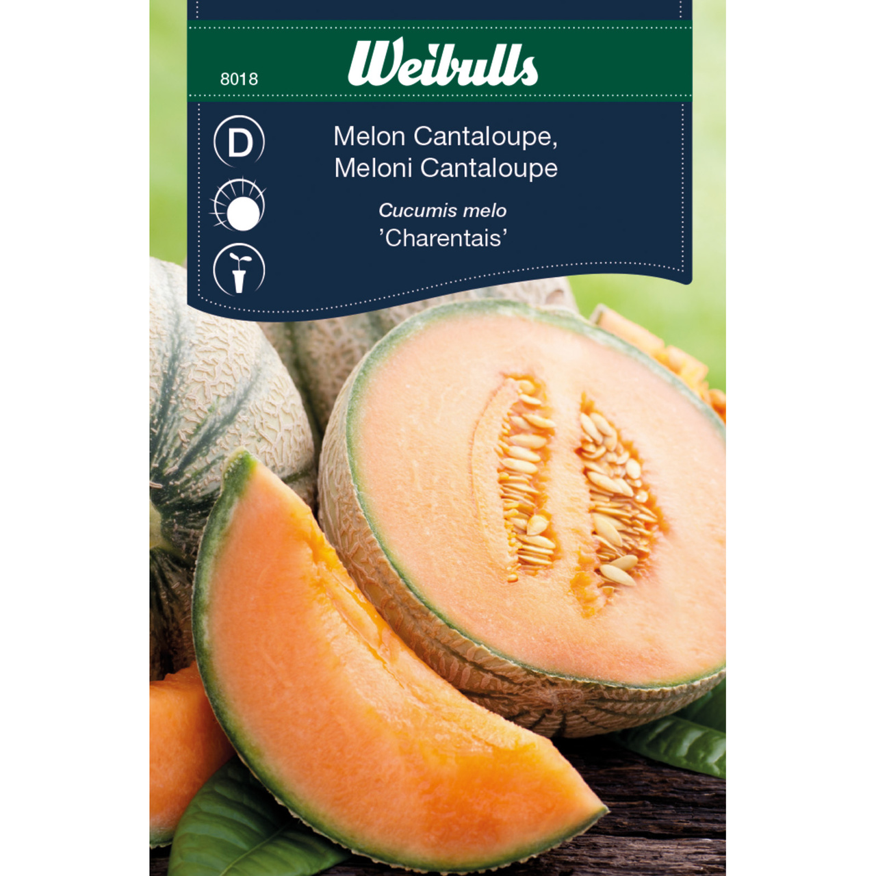 Melon, Cantaloupe Charentais - OUTLET